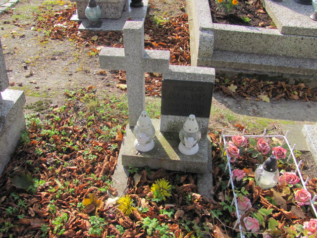Grób Roman Biłyk