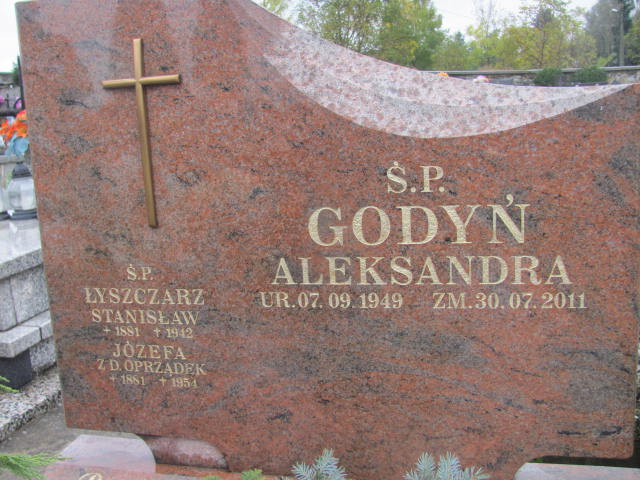 Grób Aleksandra Godyń