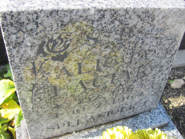 Alicja Łaciak 1961 Chrzanów Kościelec - Grobonet - Wyszukiwarka osób pochowanych