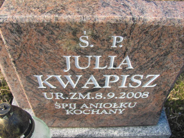 Grób Julia Kwapisz